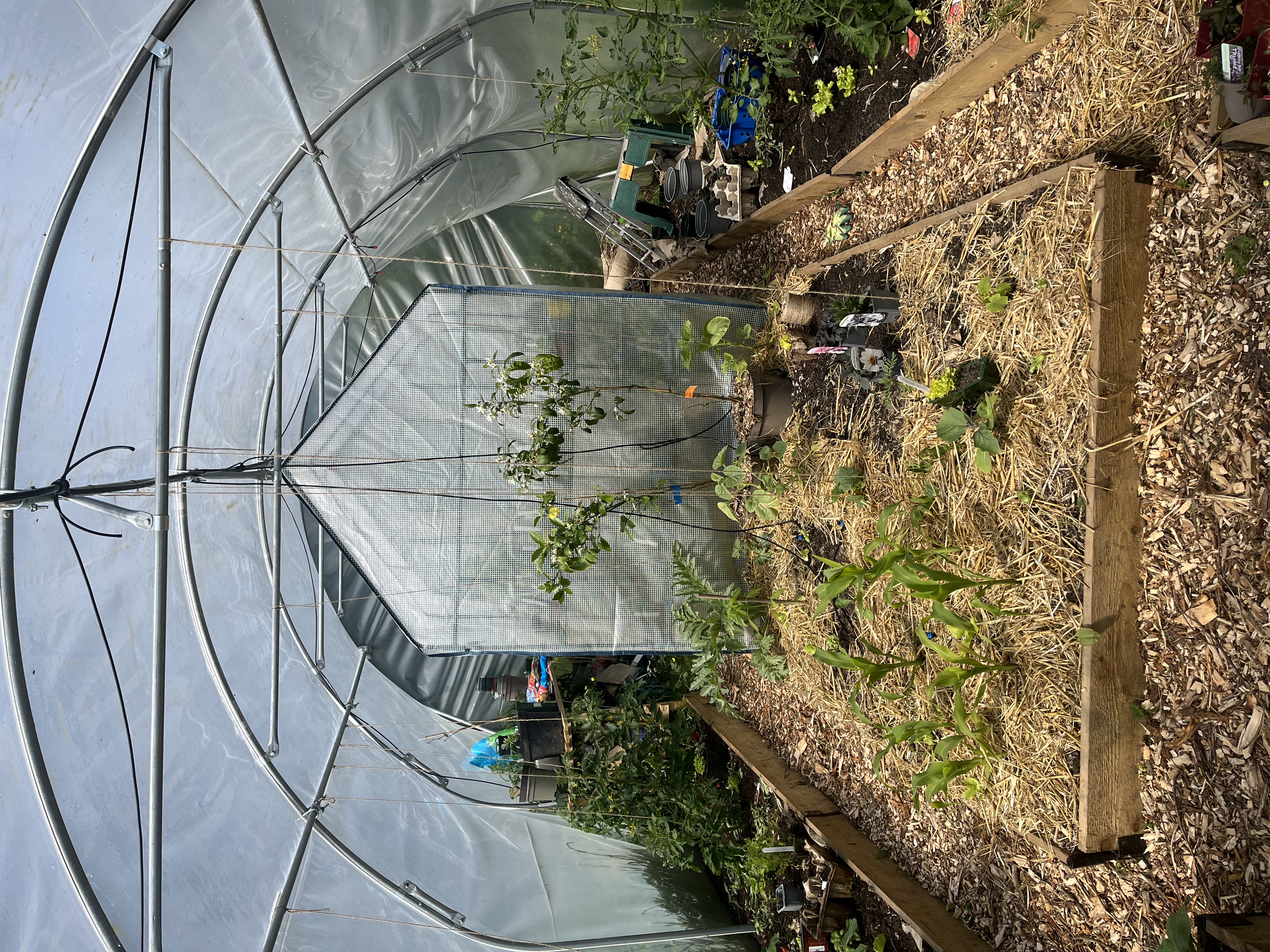 Garden image showing late season growth