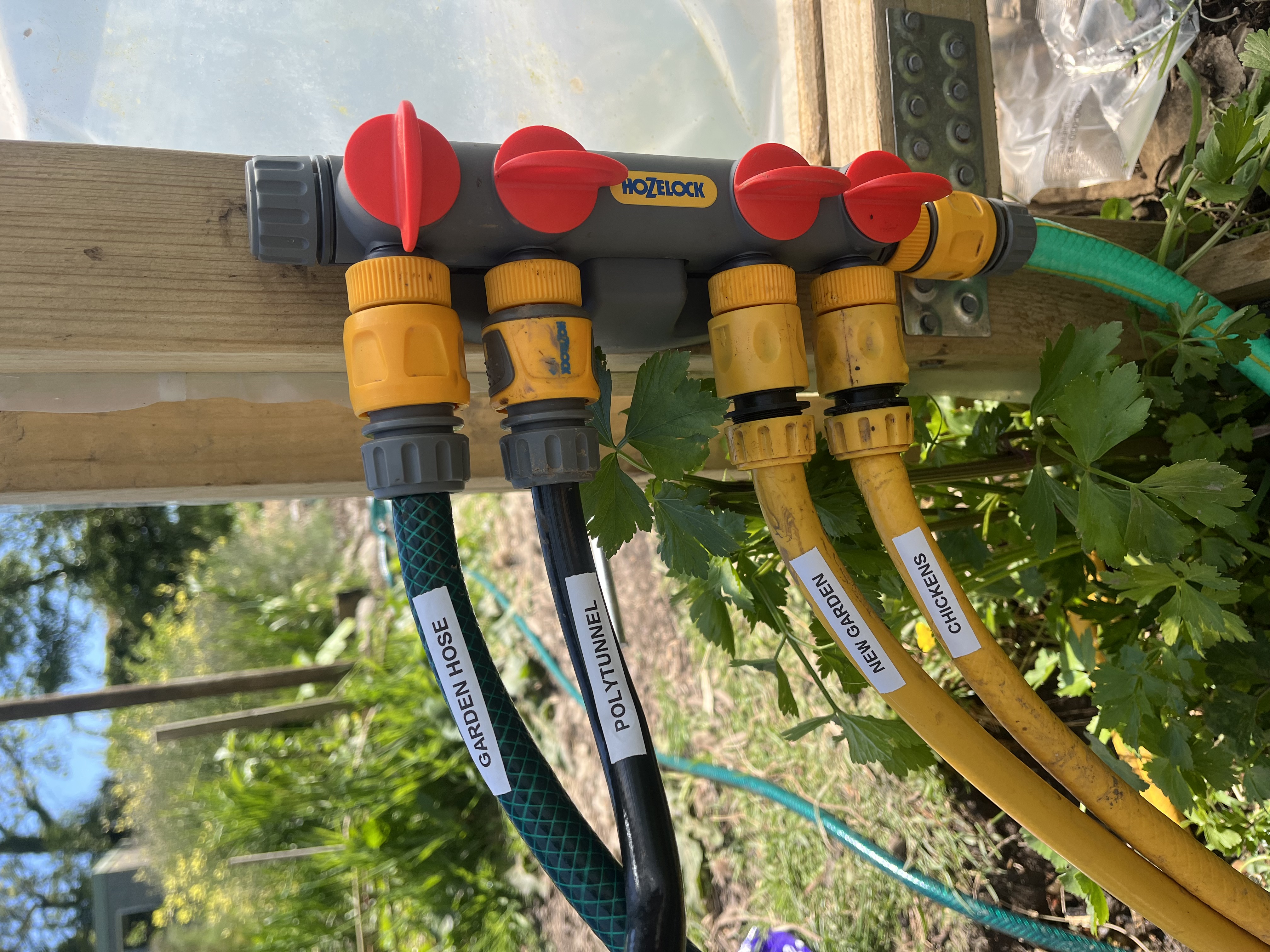 Plumbing or building project detail