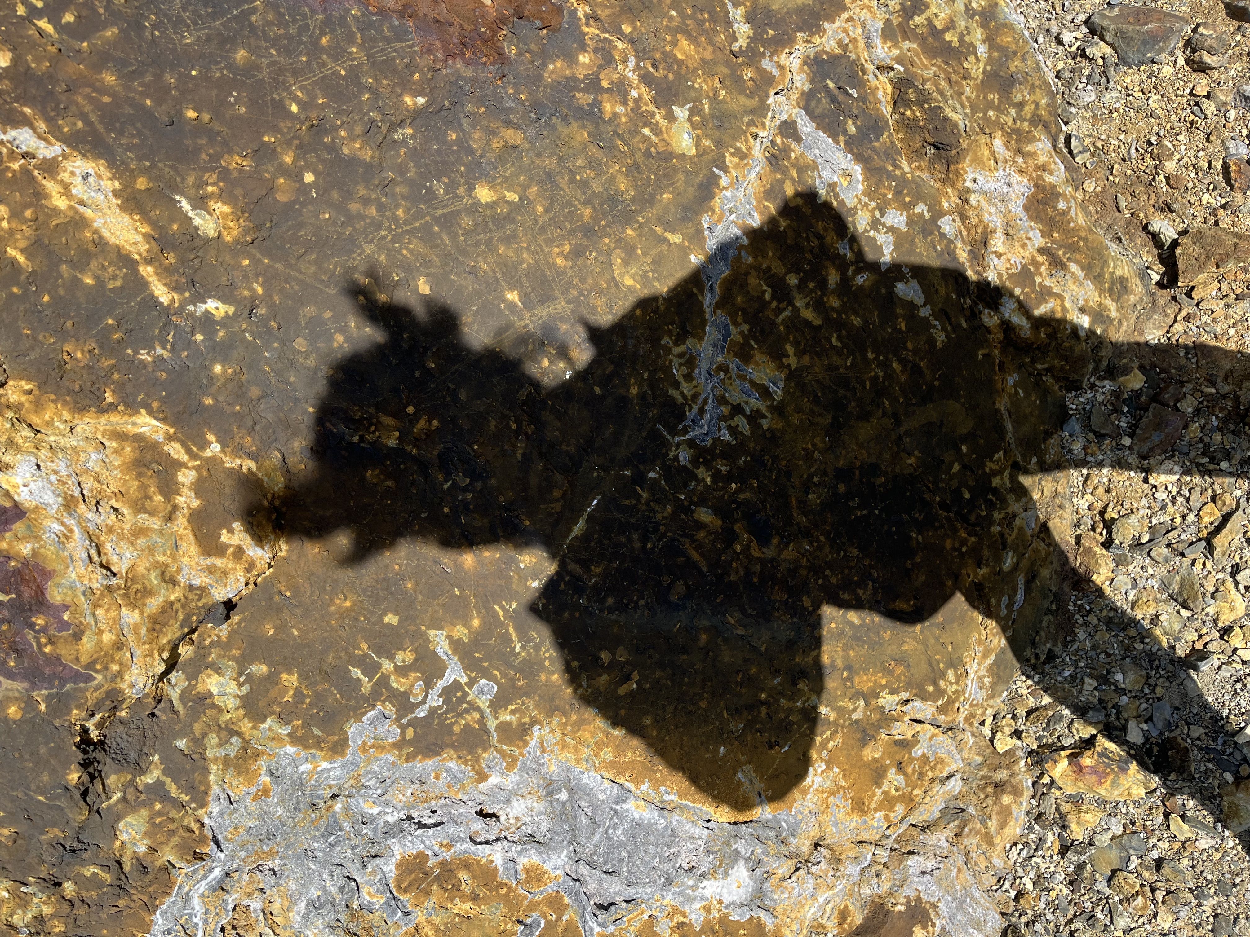 Reflection and shadow image 5