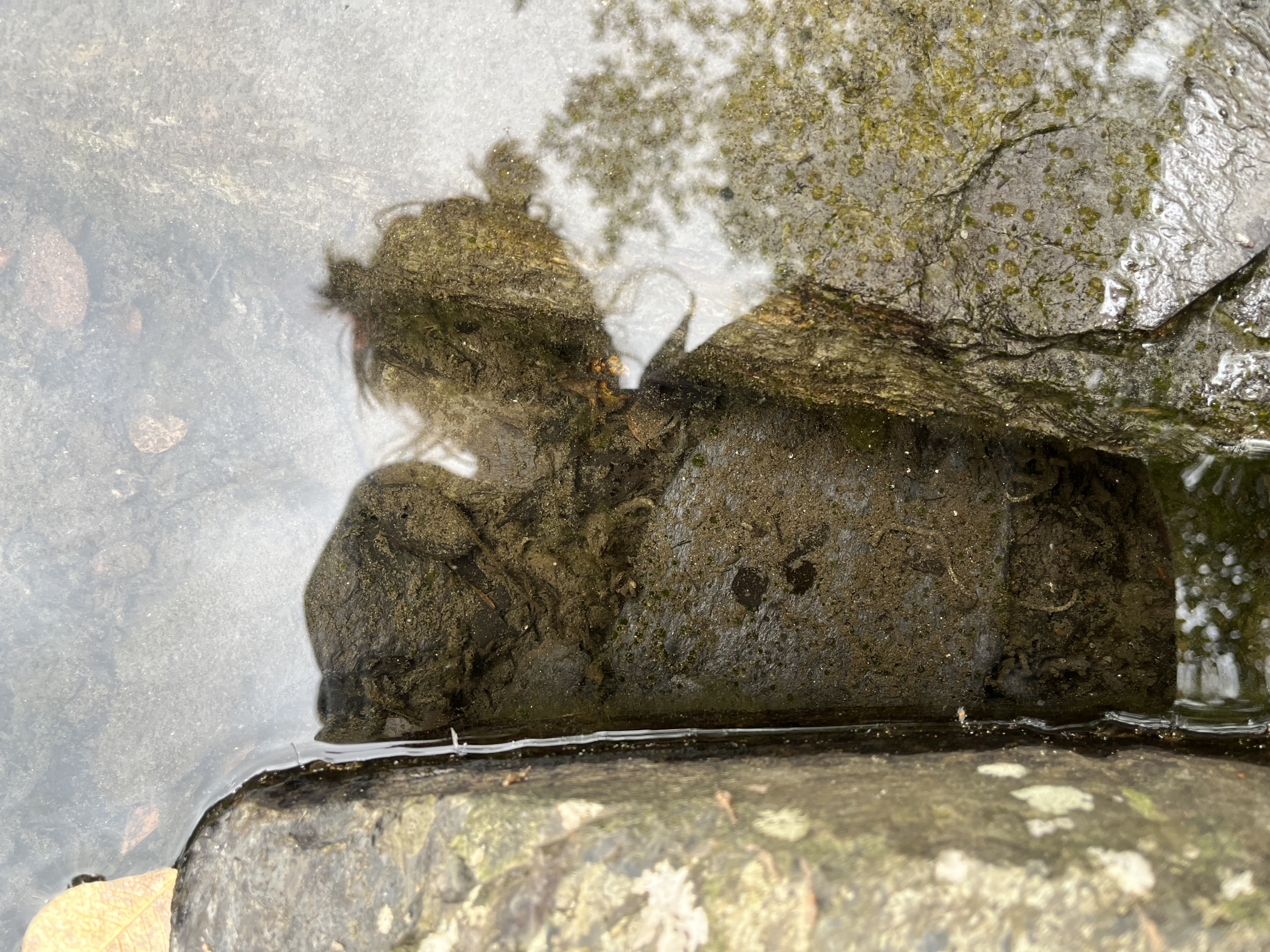 Reflection and shadow image 2